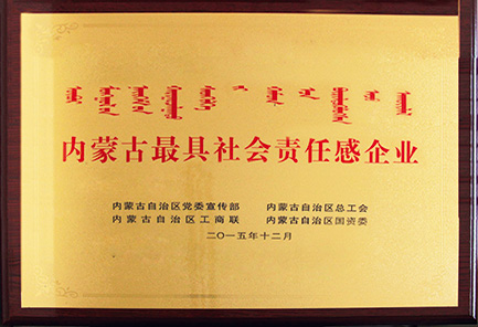 内蒙古最具社会责任感企业