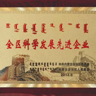 全区科学发展先进企业